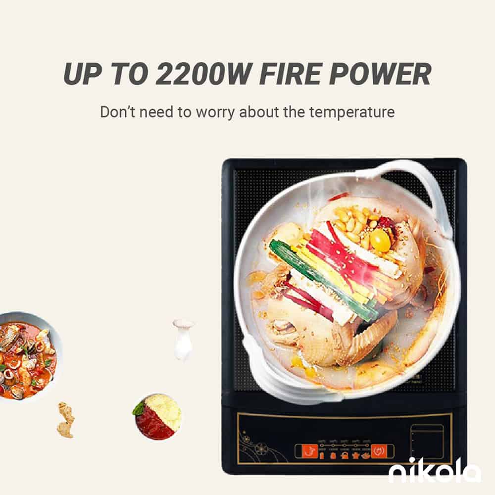 Blossom Series Induction Cooker - 2200W High Temperature